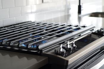 Dylan rino gas range